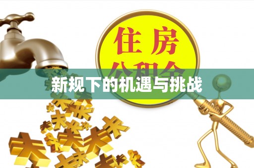 青县新规下的机遇与挑战