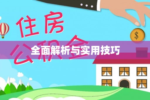 青县全面解析与实用技巧