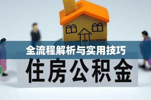 青县全流程解析与实用技巧
