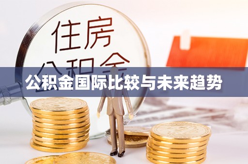 青县公积金国际比较与未来趋势