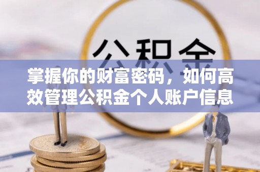 青县掌握你的财富密码，如何高效管理公积金个人账户信息