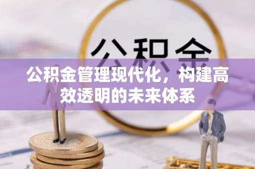 青县公积金管理现代化，构建高效透明的未来体系