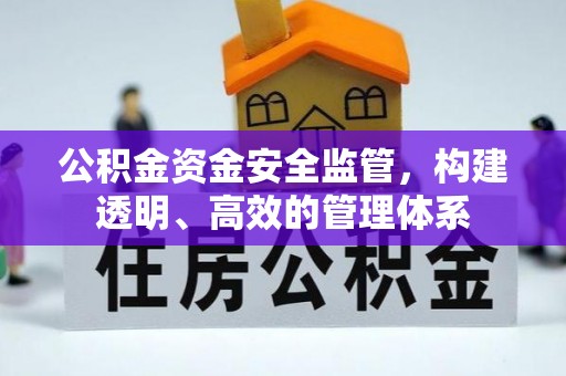 青县公积金资金安全监管，构建透明、高效的管理体系