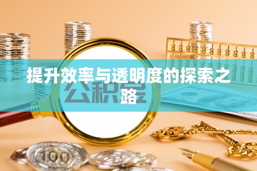 青县提升效率与透明度的探索之路