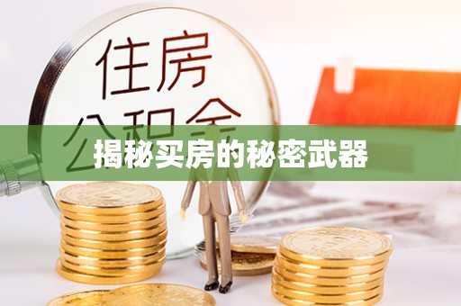 青县揭秘买房的秘密武器