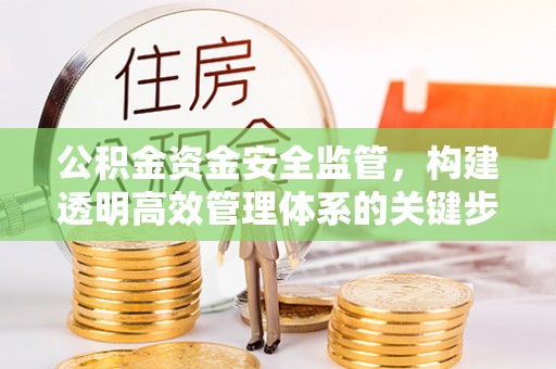 青县公积金资金安全监管，构建透明高效管理体系的关键步骤