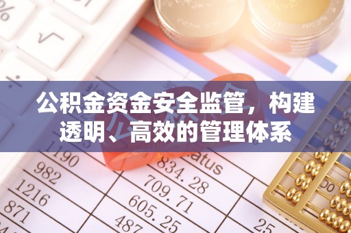 青县公积金资金安全监管，构建透明、高效的管理体系