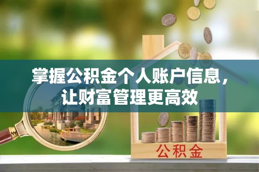 青县掌握公积金个人账户信息，让财富管理更高效