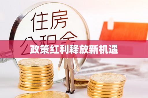 青县政策红利释放新机遇