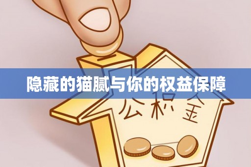 青县隐藏的猫腻与你的权益保障