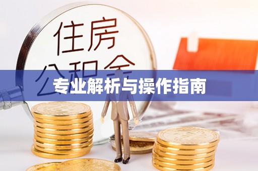 青县专业解析与操作指南