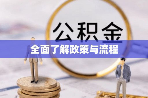 青县全面了解政策与流程