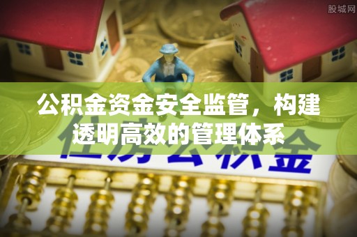青县公积金资金安全监管，构建透明高效的管理体系