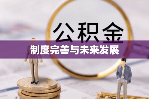 青县制度完善与未来发展
