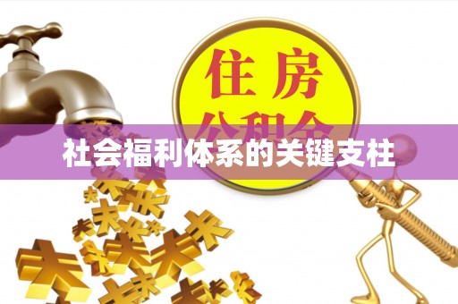 青县社会福利体系的关键支柱