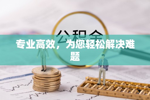 青县专业高效，为您轻松解决难题