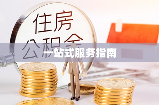 青县一站式服务指南