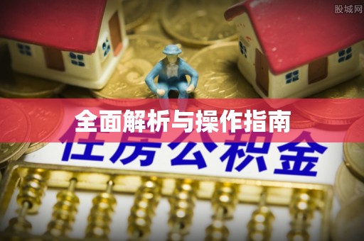 青县全面解析与操作指南